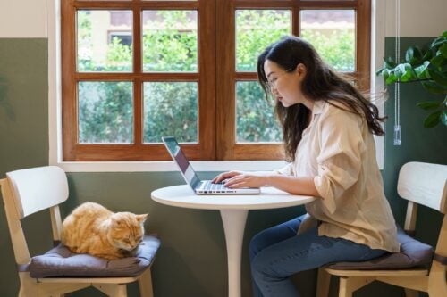 Working from Home is Less Healthy Than You Think woman working from home with cat. cat asleep on the laptop keyboard. assistant cat working at Laptop.