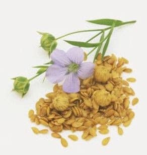 Flaxseed and Lignans Flaxseed and Lignans